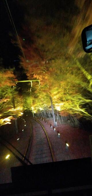 東福寺通天橋のクチコミ写真3