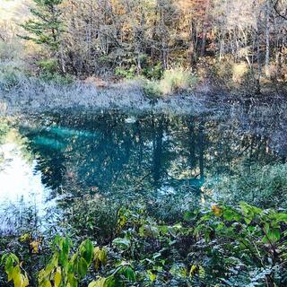 五色沼湖沼群の写真12