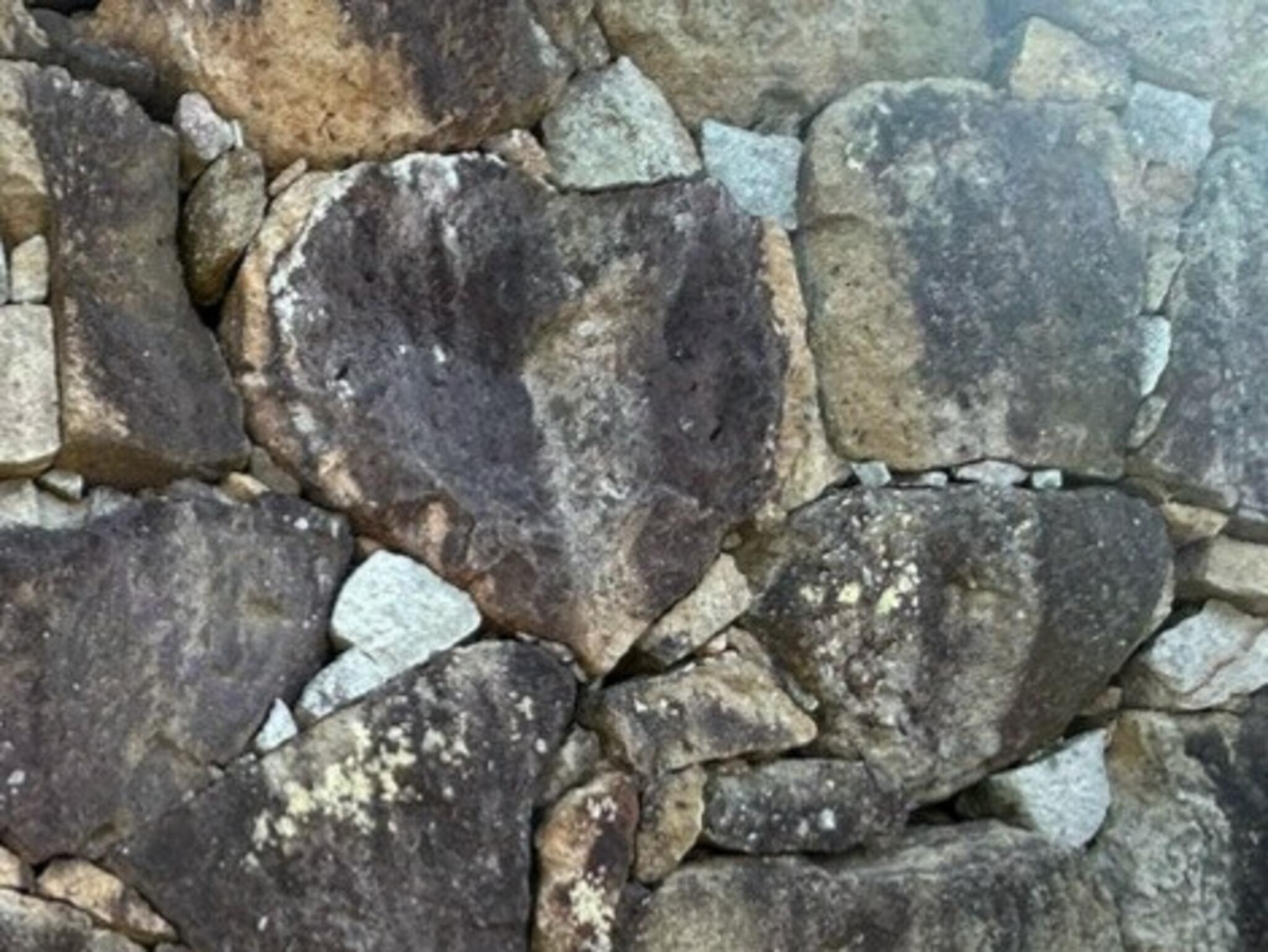愛の奇石の代表写真5