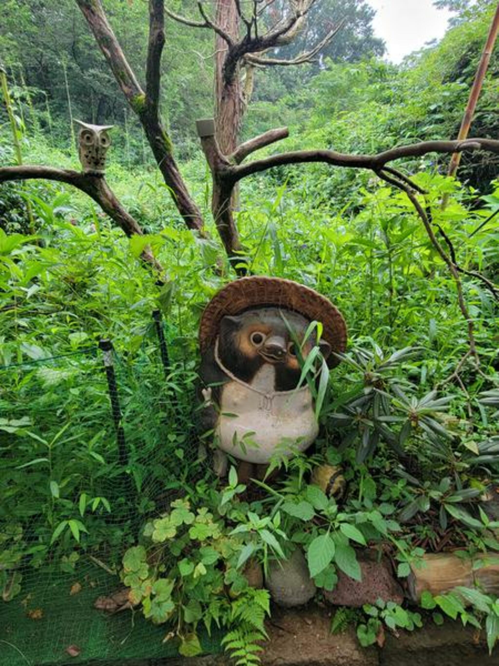 花見ケ岡岩保の代表写真3