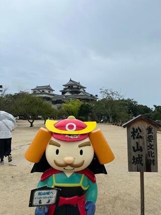 松山城のクチコミ写真1
