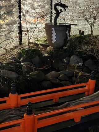 田無神社のクチコミ写真6