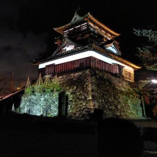 丸岡城のクチコミ写真1