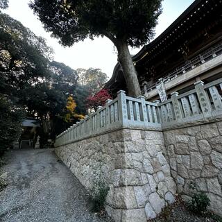 大甕神社の写真13