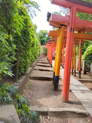 根津神社のクチコミ写真1