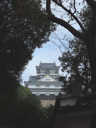 岐阜城のクチコミ写真2