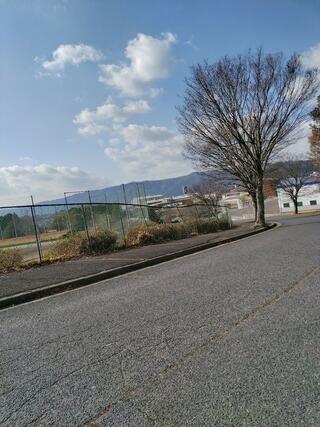 夏見廃寺跡・夏見廃寺展示館のクチコミ写真1