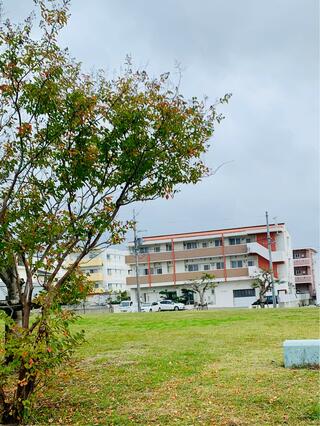 屋宜原西公園のクチコミ写真3