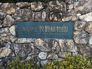 高知県立牧野植物園のクチコミ写真1