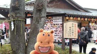 櫻木神社のクチコミ写真7