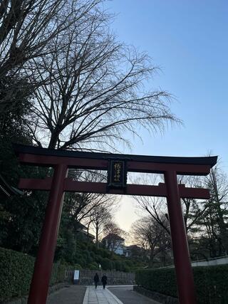 根津神社のクチコミ写真3