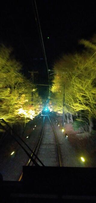 東福寺通天橋のクチコミ写真5