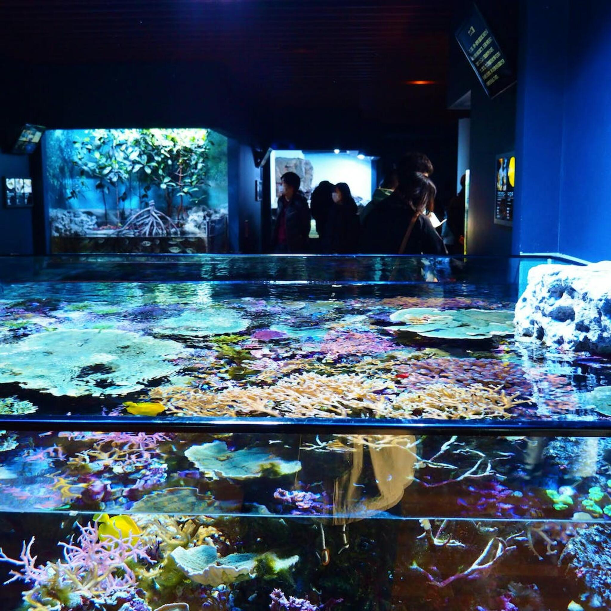 新潟市水族館 マリンピア日本海の代表写真1