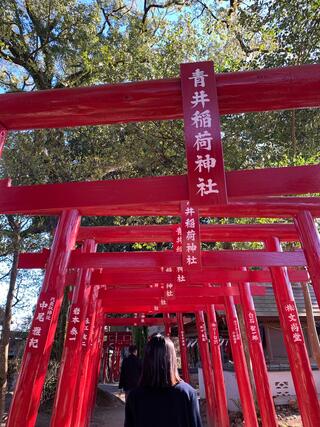 青井阿蘇神社のクチコミ写真2