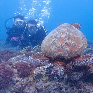 屋久島自然案内の写真25