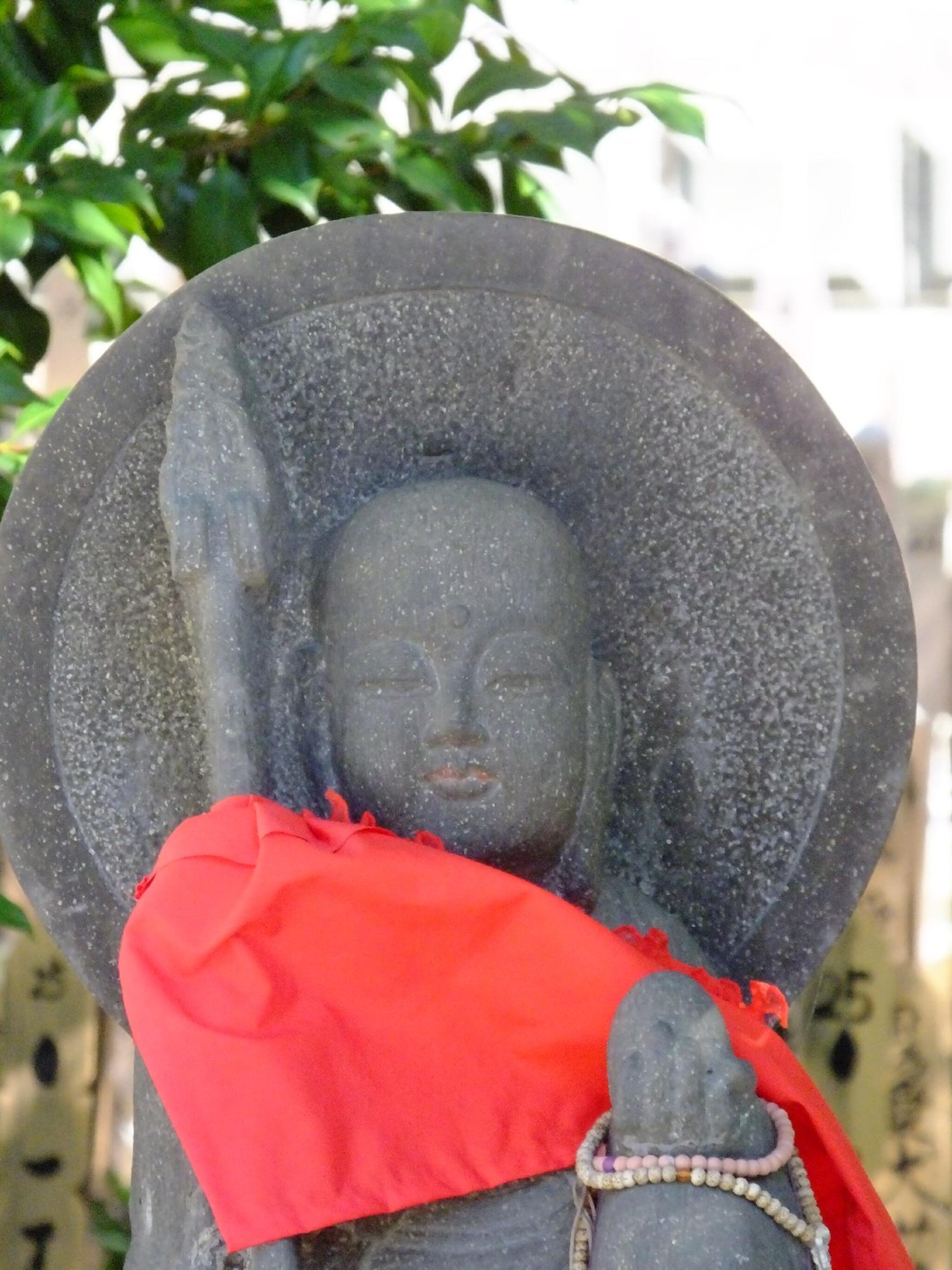 王禅寺 人気 ペット 霊園