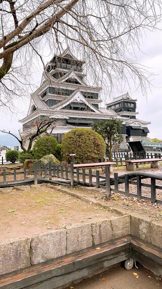 熊本城のクチコミ写真4