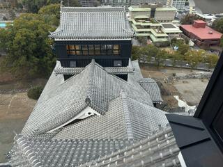 熊本城のクチコミ写真10