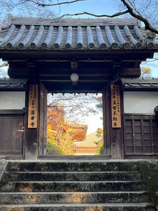 蓮華寺のクチコミ写真1