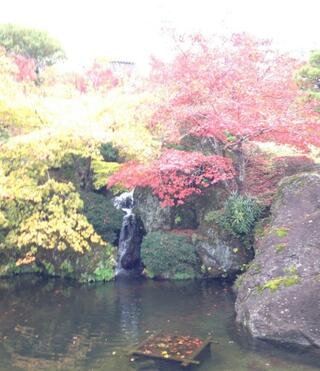 箱根強羅公園のクチコミ写真5