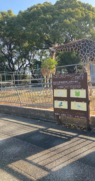 大牟田市動物園のクチコミ写真1