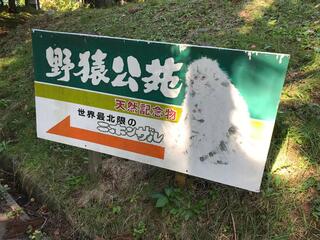 むつ市脇野沢野猿公苑のクチコミ写真1