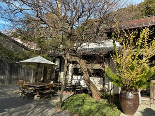 mokichi cafeのクチコミ写真4
