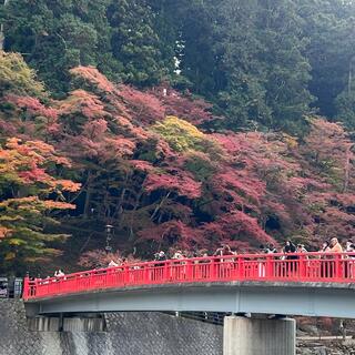 香嵐渓の写真16