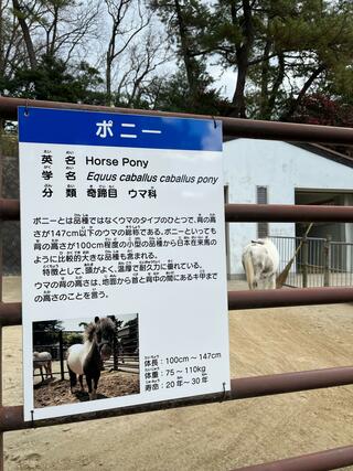 岡崎市東公園動物園のクチコミ写真2