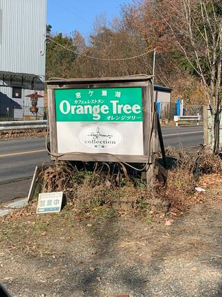 オレンジツリーのクチコミ写真3