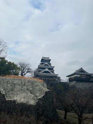 熊本城のクチコミ写真1