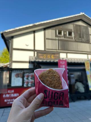 菅乃屋 熊本城桜の小路店のクチコミ写真1