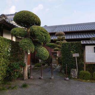 知覧武家屋敷庭園有限責任事業組合の写真22