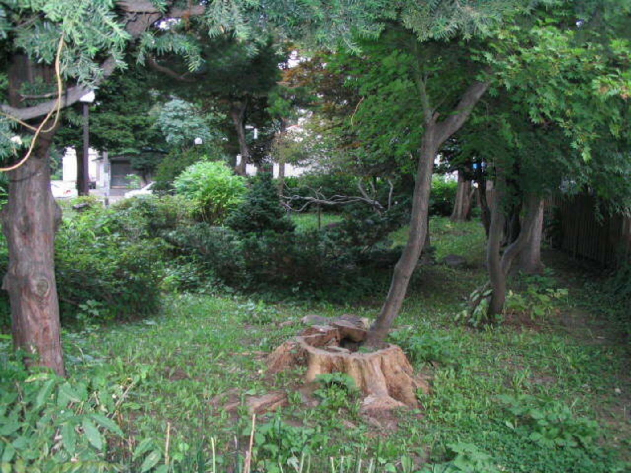 宮部記念緑地の代表写真1