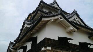彦根城のクチコミ写真1
