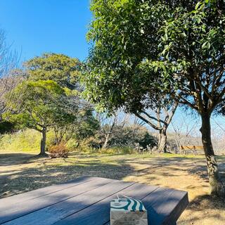 久良岐公園の写真15