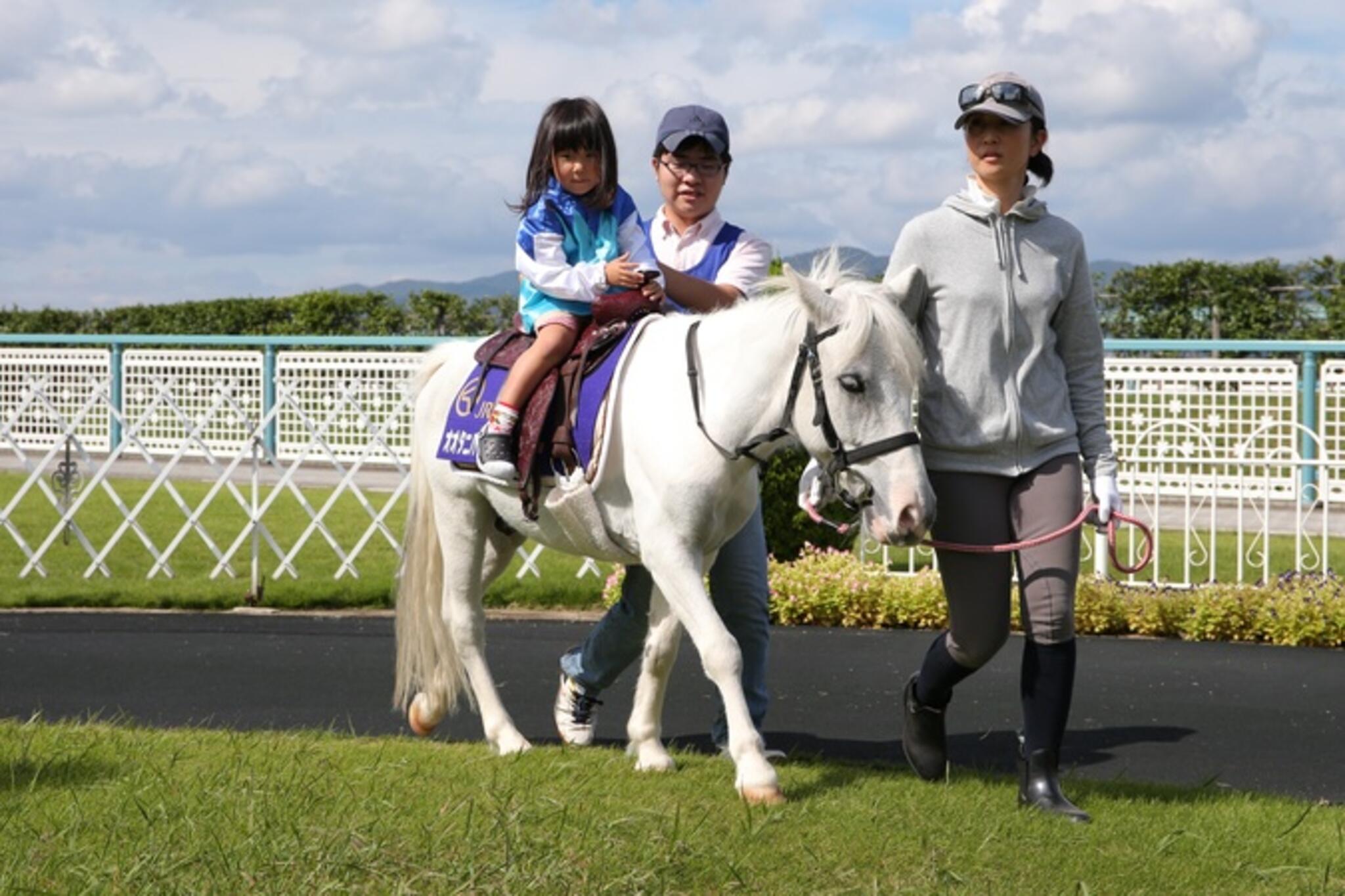 JRA 阪神競馬場の代表写真2