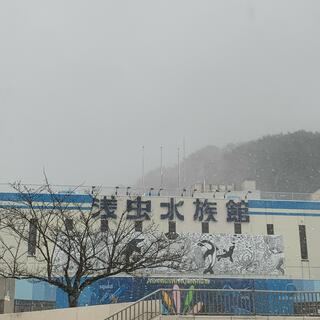 青森県営浅虫水族館の写真17