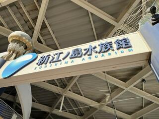 新江ノ島水族館のクチコミ写真1