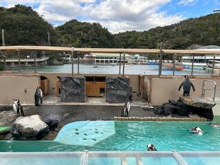下田海中水族館のクチコミ写真3