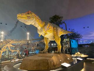 福井県立恐竜博物館のクチコミ写真2