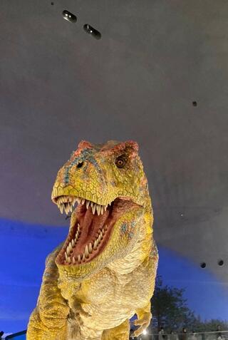 福井県立恐竜博物館のクチコミ写真1