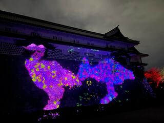 金沢城公園のクチコミ写真5