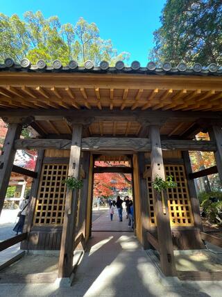 大興善寺のクチコミ写真6