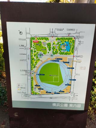 横浜公園のクチコミ写真5
