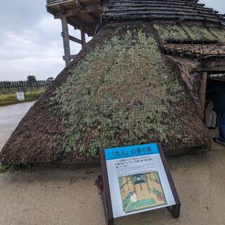 吉野ヶ里歴史公園の写真24