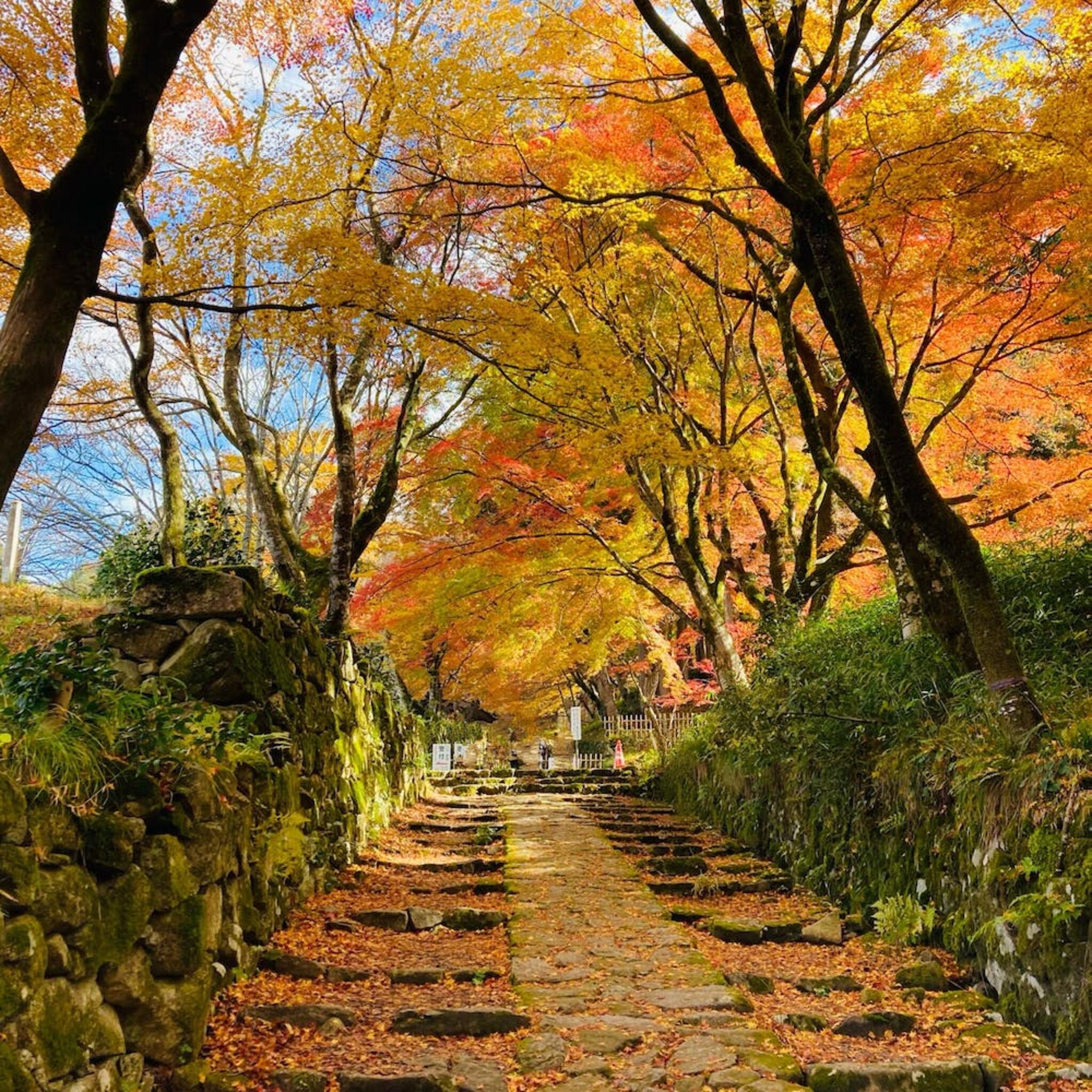 「国史跡」釈迦山 百済寺(湖東三山)の代表写真10