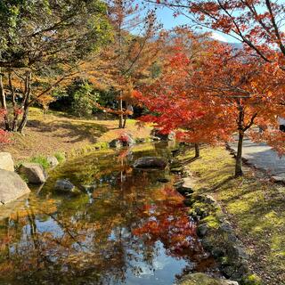 香川用水記念公園の写真13