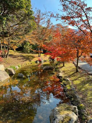 香川用水記念公園のクチコミ写真2