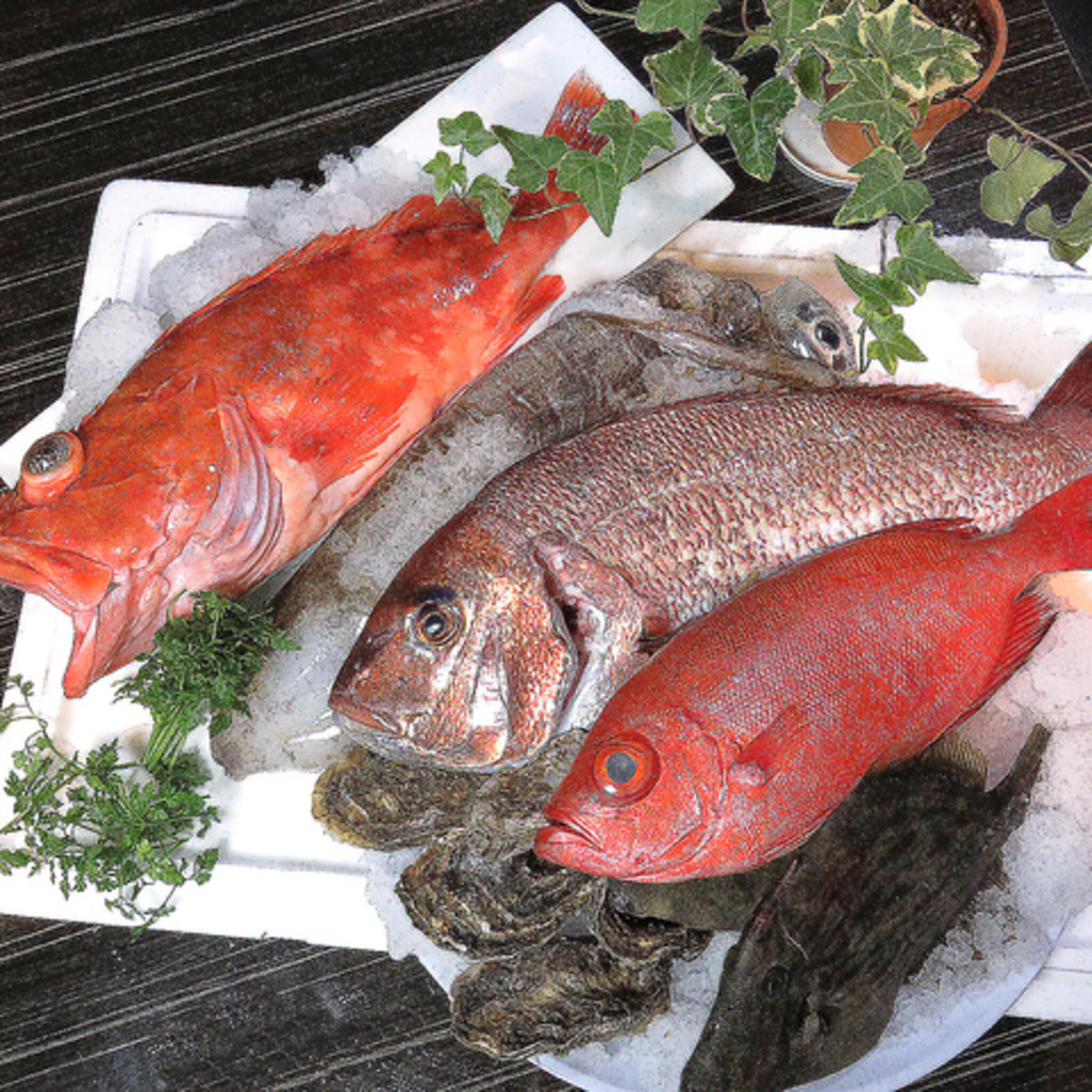 全席完全個室居酒屋 薩摩地鶏×鮮魚 はなれ 天文館店の代表写真5